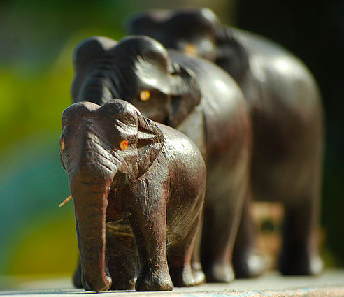 家族の幸せって