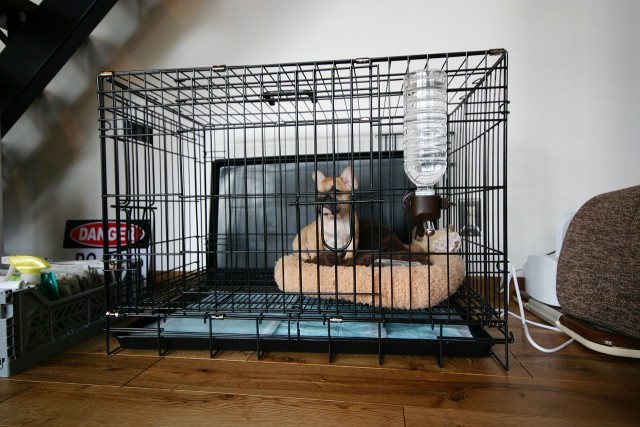 家づくりへの誘惑